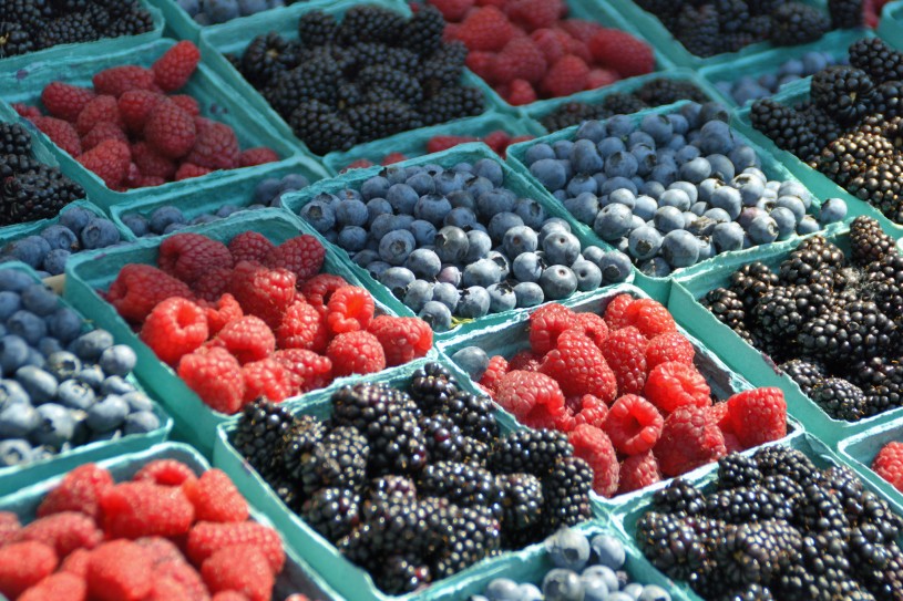 Oregon Berries