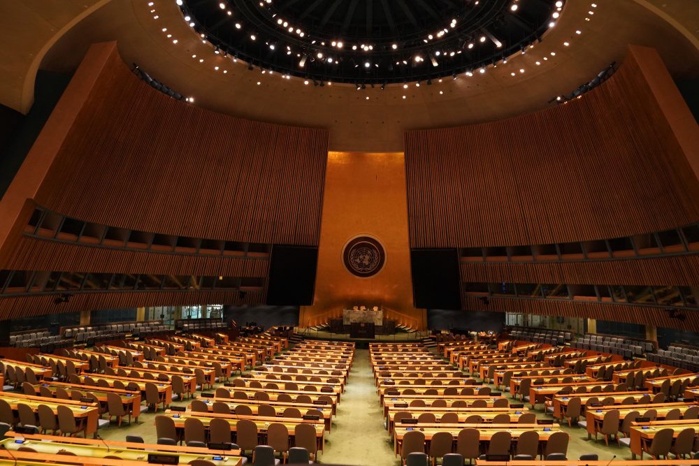Un Inaction United Nations Inaction and the Gaza Crisis: Ten Years ago and Today ...