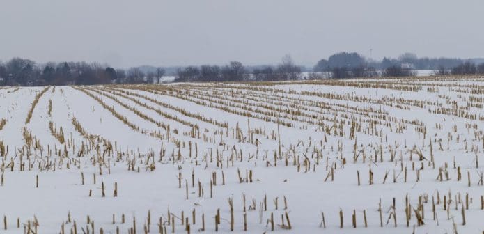 Photo of a barren field covered in snow
